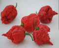 Red Reaper