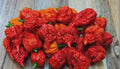 RB003 Pepper