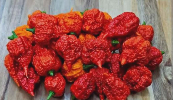 Fresh RB003 Pepper specialty peppers grown at Jayden's Family Farms