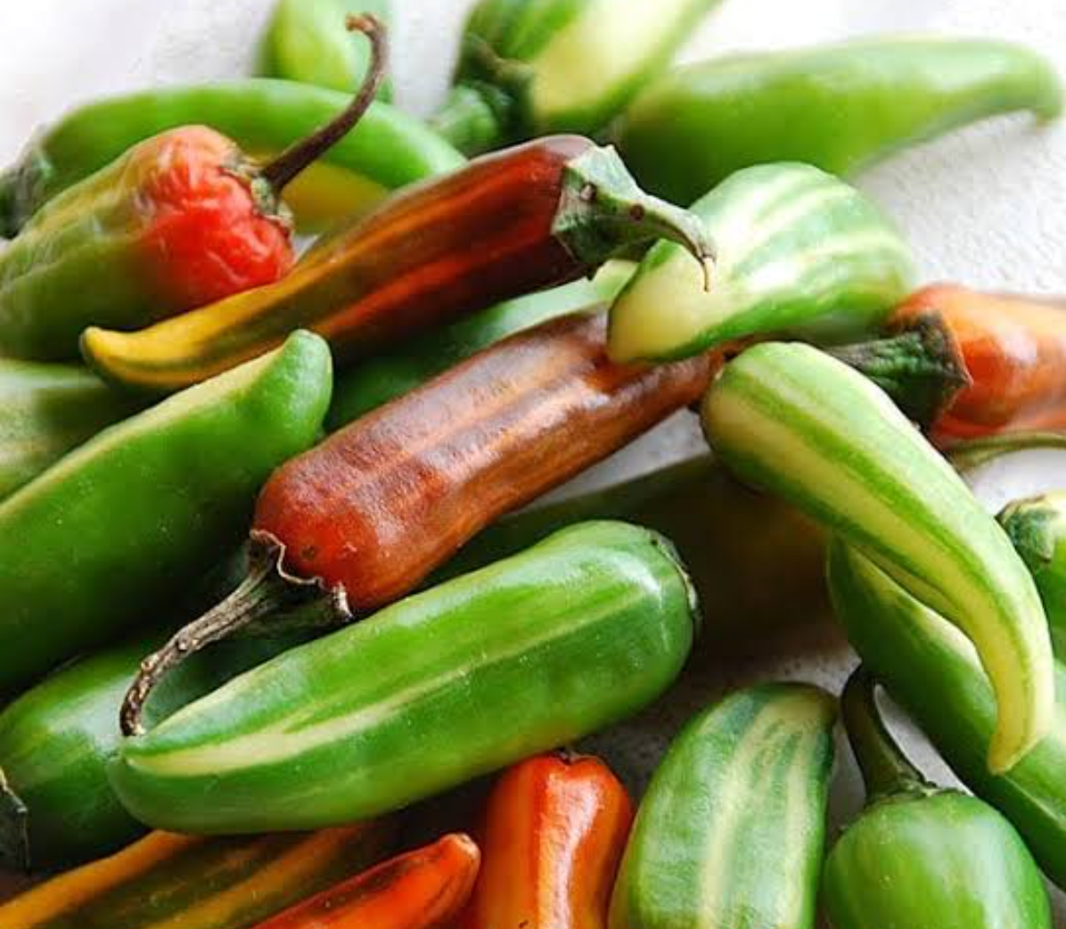 African Fish Pepper