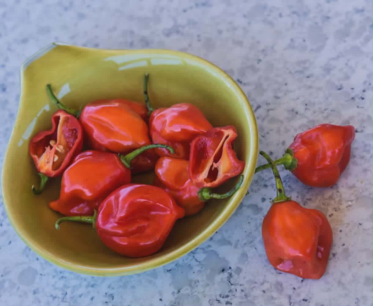 Red Habanero